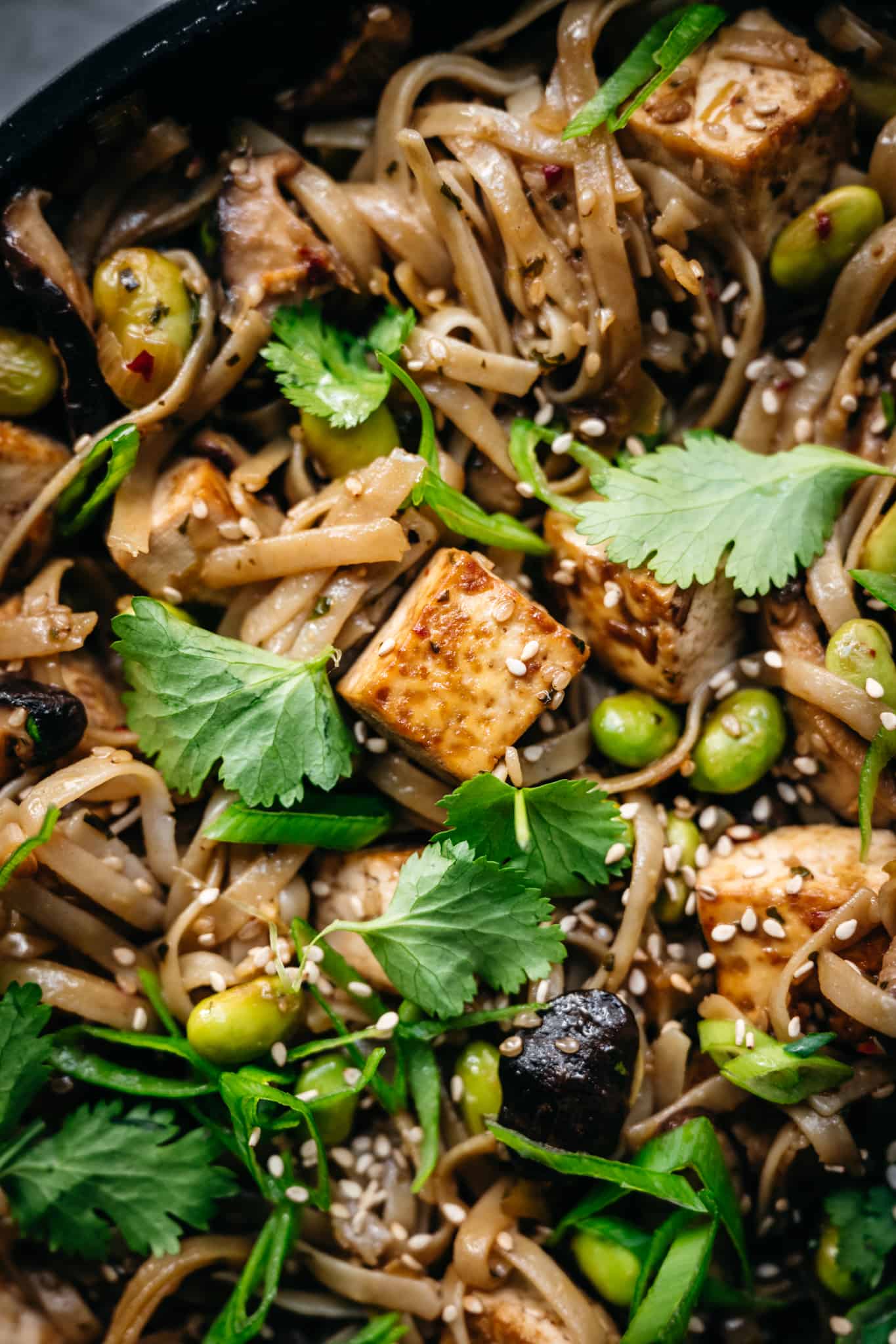 Vegan Rice Noodles with Crispy Tofu and Mushrooms